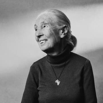Cover Image for Dr. Jane Goodall Memorial Gathering