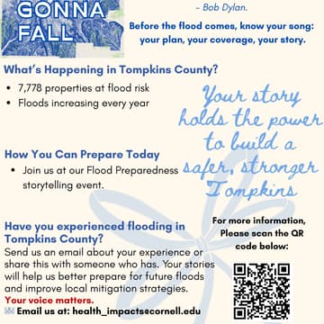 Cover Image for A Hard Rain's Gonna Fall