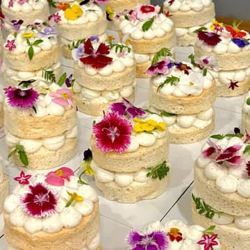 Cover Image for Cake Club🍰🌼