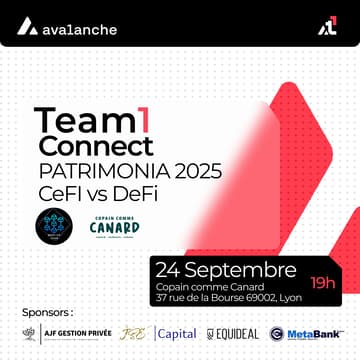 Cover Image for Team1 Connect - Patrimonia 2025
