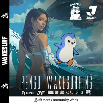 Cover Image for Pengu Wakesurfing