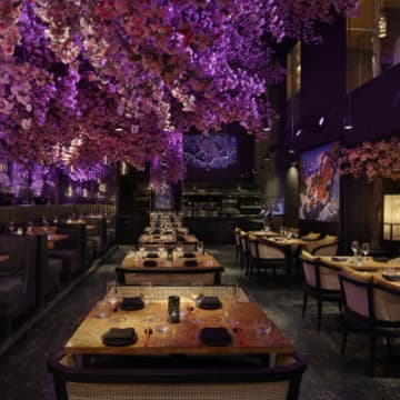 Cover Image for International Women’s Day at Tattu