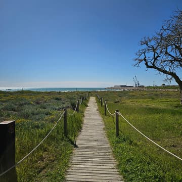 Cover Image for MONT Mindful walk Vol. 2