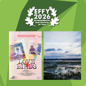 Cover Image for EFFY Night Two: Birds and the People Who Love Them