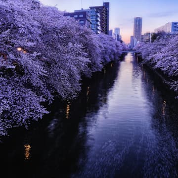 Cover Image for Deep Tech Forum Tokyo 2026