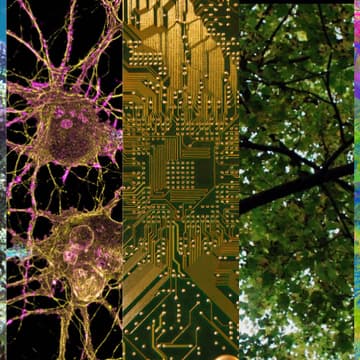 Cover Image for UK FRO Residency Symposium