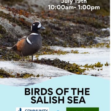 Cover Image for Birds of the Salish Sea Paddle