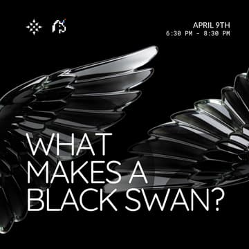 Úvodní obrázek pro Lumina House x Unicorn Mafia: What Makes a Black Swan?