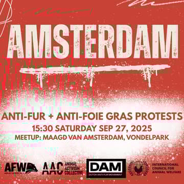 Cover Image for Amsterdam: Anti-fur + Anti-foie gras protests