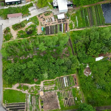 Cover Image for Support Rainier Beach Wetlands