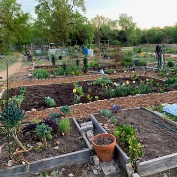 Cover Image for SDFCG Oct Garden Workday