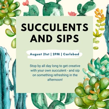 Cover Image for Succulents and Sips
