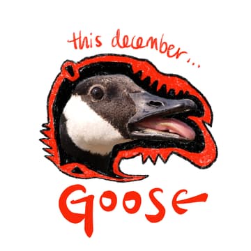 Cover Image for Monthly Molting: Goose (December)