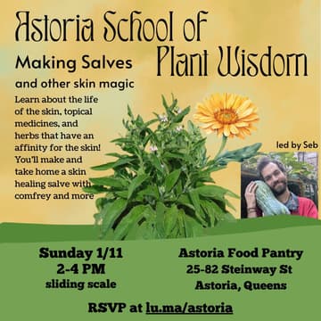 Cover Image for Making Salves (and other skin magic)