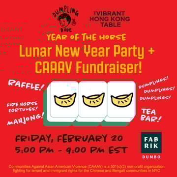Cover Image for Lunar New Year Party & CAAAV Fundraiser!
