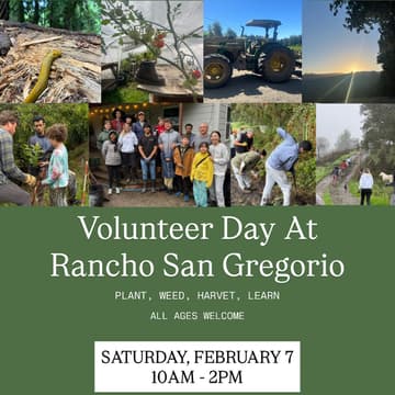 Cover Image for Volunteer Day At Rancho San Gregorio 🌱