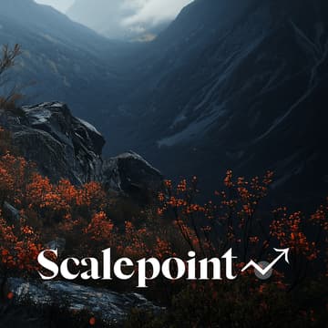 Foto de portada de Fintech CFO Office Hours | Scalepoint