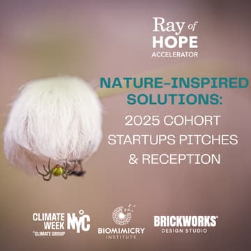Cover Image for Nature-inspired Solutions: 2025 Cohort Startups Pitches & Reception