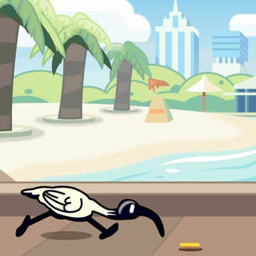 Cover Image for BNE Socialisation (ActivityPub Pub Meet)