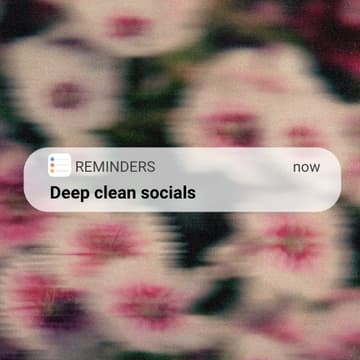 Cover Image for Spring Clean: A Guided Reset for Your Social Feed