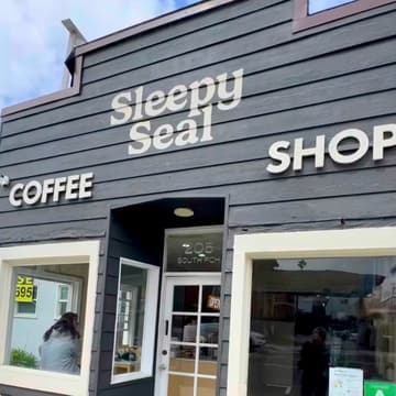 Cover Image for Sleepy Seal: Surf Wax