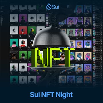 Cover Image for Sui NFT Night