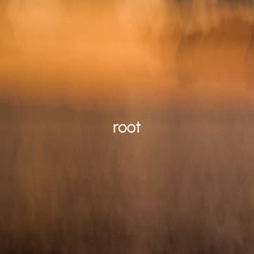 Cover Image for nervous system reset series | root: returning to center