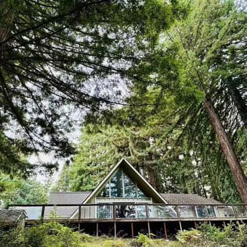 Cover Image for 🪷 合光红木林创业者禅修营 · 从心出发的领导力 💫