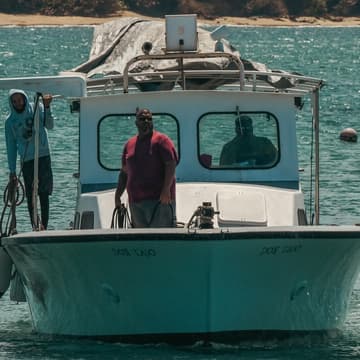 Cover Image for Driftlines Film Festival: Shorts Program II - Countering Colonial Legacies