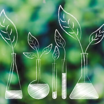 Cover Image for Not-so-green chemistry: How do policies translate to the student body?