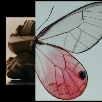 Cover Image for Artistic Alchemy: Creative Transformation Through The Artist’s Way + 1:1 Coaching