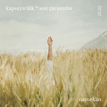Cover Image for kapsayıcılık * son çarşamba