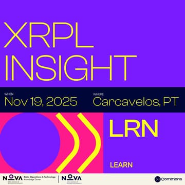 Cover Image for XRPL Insight
