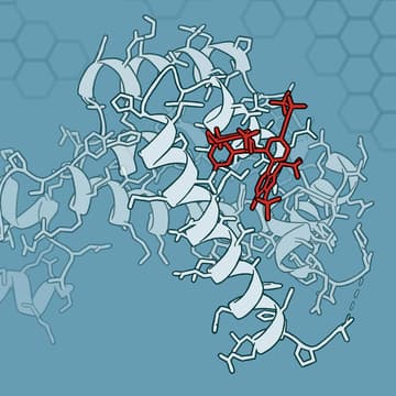 Cover Image for Symposium on AI in Protein Structure, Function, and Discovery