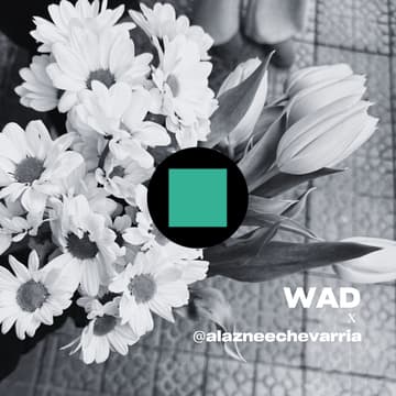 Cover Image for OFFLINE MODE: Taller creativo en la Naturaleza