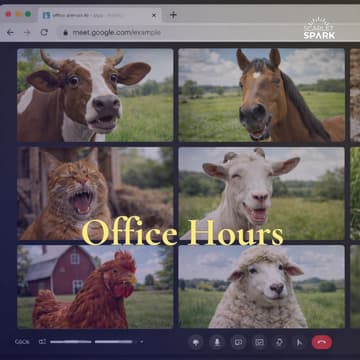 Cover Image for Scarlet Spark Office Hour