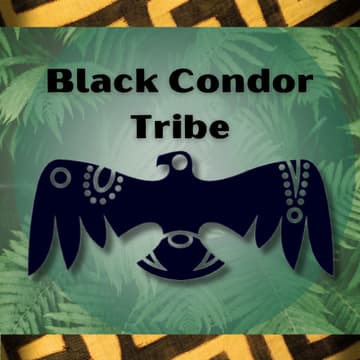 Cover Image for Black Condor Info Call