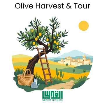 Cover Image for Olive Harvest & Village Tour