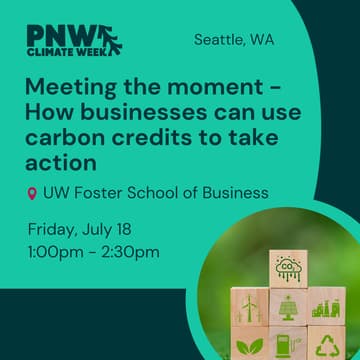 Cover Image for Meeting the Moment - How businesses can use carbon credits to take action