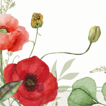 Cover Image for Growing Good Saturday: Land Honoring Opening Ceremony