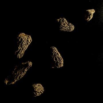 Cover Image for Latitude No. 7: What Remains