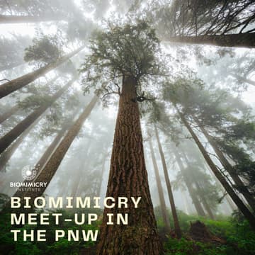 Cover Image for Biomimicry Meet-Up in the PNW