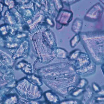 Cover Image for Creative Showcase Vol. 5