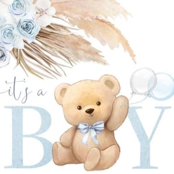Cover Image for Celebrating Raelle 💙👶✨