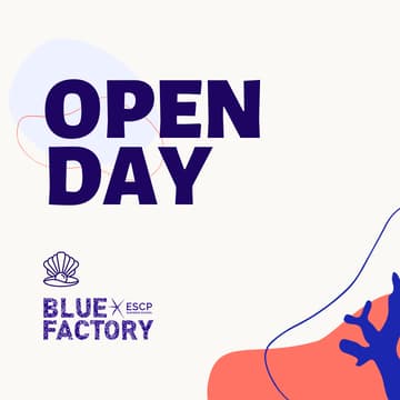 Cover Image for OPEN DAY 🇪🇸 Blue Factory Madrid