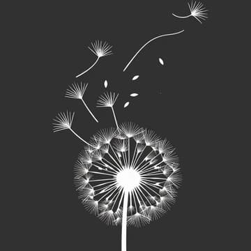 Cover Image for Open Source Practitioner Touch Point