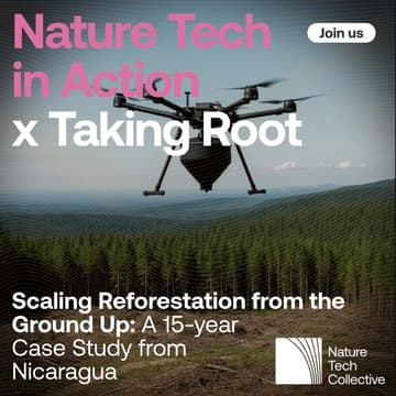 Cover Image for Scaling Reforestation from the Ground Up: A 15-year Case Study from Nicaragua