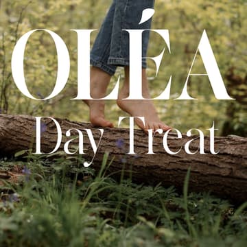 Cover Image for Oléa Day Retreat & CEU Seminar (Port St. Lucie)