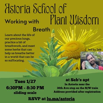 Cover Image for Working with Breath (and herbs)