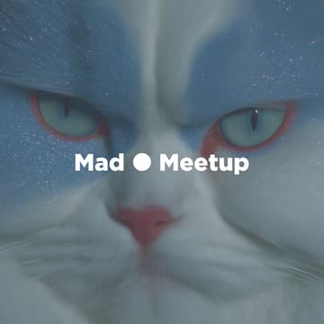 Cover Image for Mad ⚫ Meetup #30: Swarm Autonomy & Self-Driving